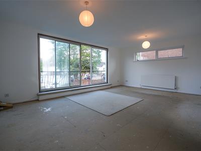 Picture 24